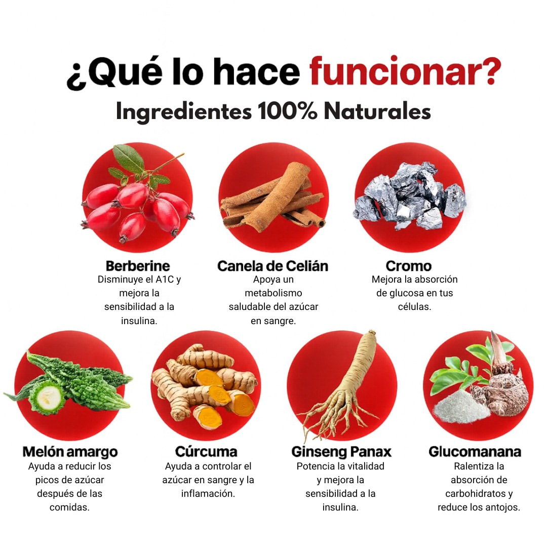 Complejo para el Azucar en Sangre: Tu rutina diaria para mantener el azúcar bajo control
