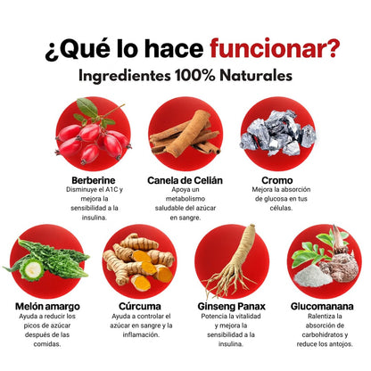 Complejo para el Azucar en Sangre: Tu rutina diaria para mantener el azúcar bajo control